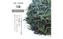 【京都ぎょくろのごえん茶】京茶ティーバッグ入 ごあいさつ茶10点セット