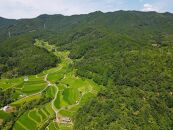 栽培期間中農薬・化学肥料不使用&nbsp;白米粒が光る棚田米&nbsp;滋賀県大津産&nbsp;白米5kg