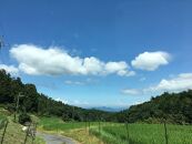 栽培期間中農薬・化学肥料不使用&nbsp;白米粒が光る棚田米&nbsp;滋賀県大津産&nbsp;白米10kg