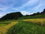 栽培期間中農薬・化学肥料不使用&nbsp;白米粒が光る棚田米&nbsp;滋賀県大津産&nbsp;白米10kg