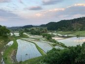 栽培期間中農薬・化学肥料不使用&nbsp;白米粒が光る棚田米&nbsp;滋賀県大津産&nbsp;白米10kg