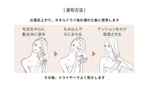 ラ・カスタ アロマエステ ヘアエマルジョン 本体(80ml)＆リフィル（詰め替え）(140ml) セット | ラカスタ La CASTA