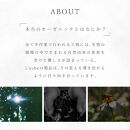 L’aube&nbsp;フェイスミスト&nbsp;「ウッド」&nbsp;30ml&nbsp;森林浴を思わせる優しい香りでディープリラックス｜沖縄　那覇市　美容&nbsp;アロマ&nbsp;リラックス&nbsp;　フェイスミスト&nbsp;香り&nbsp;スキンケア&nbsp;化粧品&nbsp;コスメ&nbsp;美容液　人気