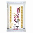 【定期便】佐渡産コシヒカリ 5kg×3回 令和6年米