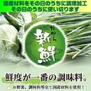 全て国産食材、銘柄豚使用！肉汁あふれる！【横浜大宝餃子】もちもち国産ジャンボ大宝餃子90個（30個×3）老舗餃子メーカー 横浜中華 焼餃子 冷凍餃子 ギョーザ ぎょうざ 大きい 中華 おかず 惣菜 ギフト プレゼント