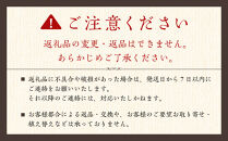サンスベリア 7号 ホワイトバスケット鉢カバー 土の表面：ウッドチップ 土の表面:ウッドチップ【観葉植物 植物 サンスベリア 7号 バスケット 鉢付 インテリア 部屋 室内 オフィス 癒し エコ グリーン マイナスイオン リラックス オシャレ おしゃれ ギフト プレゼント 贈り物 人気 おすすめ  福岡県筑前町 送料無料 AG043】