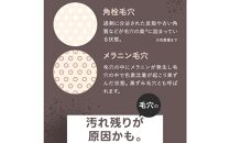 SHIKARI(シカリ) ブライトニング ウォッシュ 【ブラシセット】 （洗顔パック）医薬部外品【ブライトニング ウォッシュ 洗顔パック 医薬部外品 シカリ SHIKARI 筑前町 シリカ しみ そばかす 角質ケア エイジングケア ブースト洗顔 角栓ケア マイルド処方 敏感肌 ゆらぎ肌 使い方ガイド付き 天然ミネラル 微細泡 肌荒れ予防 人気 おすすめ 筑前町 ふるさと納税 送料無料】