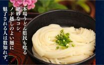 二段熟成半生さぬきうどん 24人前(300g×8袋) だし・うどんつゆ付き(鎌田醤油)