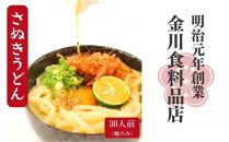 二段熟成半生さぬきうどん 30人前(300g×10袋)