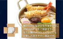 二段熟成半生さぬきうどん 60人前(300g×20袋)