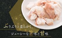 国産牛　ホルモンセット　500g