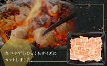 国産牛　ホルモンセット　500g