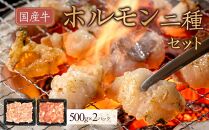 国産牛　ホルモン二種セット1000g