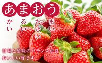 訳あり！辛子明太子（切子）1kg（500g×2個）と福岡県産冷凍あまおう1kg（250ｇ×4個）セット【明太子 明太 めんたいこ 辛子明太子 訳あり 切子 卵 海鮮 魚介類 あまおう 苺 イチゴ いちご 博多名物 人気 明太子 いちご おすすめ 福岡 冷凍 おかず 明太子 めんたい デザート スイーツ 筑前町 ふるさと納税 送料無料 FL037】