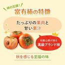 和歌山県産 富有柿 秀品 8～12玉 L～3Lサイズ【2024年11月上旬以降発送】【九度山町産】