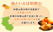 和歌山県産&nbsp;富有柿&nbsp;秀品&nbsp;8～12玉&nbsp;【2026年11月上旬以降発送】【九度山町産】