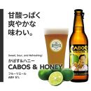 福岡市発クラフトビール　 5種バラエティーセット　330ml×24本