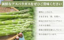 夏アスパラガス&nbsp;1kg&nbsp;Lサイズ以上&nbsp;2026年6月より順次発送