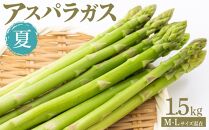 夏アスパラガス&nbsp;1.5kg&nbsp;M・Lサイズ混在&nbsp;2026年6月より順次発送