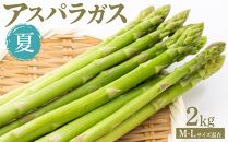 夏アスパラガス&nbsp;2kg&nbsp;M・Lサイズ混在&nbsp;2026年6月より順次発送