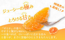 【2026年2月中旬より順次発送】柑橘界の大トロ！せとか　約3kg
