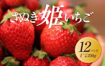 【2025年1月中旬より発送】さぬき姫いちご　12パック(1パック約250g)