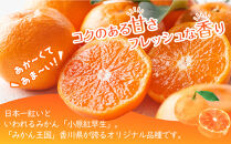 【2025年11月中旬より順次発送】特秀品！真っ赤なお蜜柑「小原紅早生」約5kg