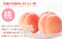 【2025年6月下旬より順次発送】特秀品！絶品「桃」約2kg(6～8玉)