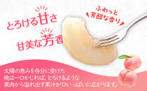 【2025年6月下旬より順次発送】特秀品！絶品「桃」約4kg(12～16玉)