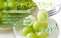 【2025年8月中旬より順次発送】大房シャインマスカット＆&nbsp;大房ニューピオーネ　各1房(各約600g)