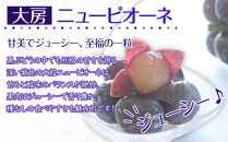 【2025年8月中旬より順次発送】大房シャインマスカット＆&nbsp;大房ニューピオーネ　各1房(各約600g)