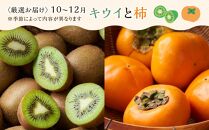 創業130余年！老舗果物店が見極めた、厳選フルーツ詰合せ♪満足セット （3～5品種）