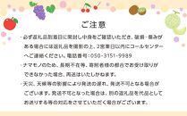 創業130余年！老舗果物店が見極めた、厳選フルーツ詰合せ♪満足セット （3～5品種）