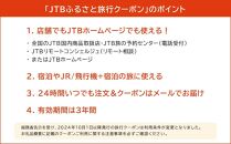 【小樽市】JTBふるさと旅行クーポン（Eメール発行）（3,000円分）