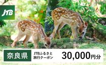 【奈良県】JTBふるさと旅行クーポン（Eメール発行）（30,000円分）