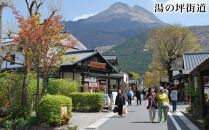 【湯布院、由布院、湯平、塚原高原】JTBふるさと旅行クーポン（Eメール発行）（3,000円分）| 宿泊券 宿泊 旅行券 温泉 観光 旅行 ホテル 旅館 クーポン チケット トラベルクーポン トラベル ゆふいん 人気 おすすめ 大分県 由布市 JTBW003T