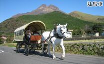 【湯布院、由布院、湯平、塚原高原】JTBふるさと旅行クーポン（Eメール発行）（3,000円分）| 宿泊券 宿泊 旅行券 温泉 観光 旅行 ホテル 旅館 クーポン チケット トラベルクーポン トラベル ゆふいん 人気 おすすめ 大分県 由布市 JTBW003T