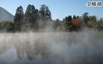 【湯布院、由布院、湯平、塚原高原】JTBふるさと旅行クーポン（Eメール発行）（3,000円分）| 宿泊券 宿泊 旅行券 温泉 観光 旅行 ホテル 旅館 クーポン チケット トラベルクーポン トラベル ゆふいん 人気 おすすめ 大分県 由布市 JTBW003T