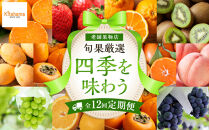 【定期便全12回】旬果厳選！四季を味わう単品定期便♪