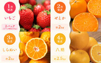 【定期便全12回】旬果厳選！四季を味わう単品定期便♪