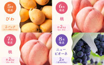 【定期便全12回】旬果厳選！四季を味わう単品定期便♪