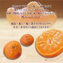 【訳あり】和歌山みかん約9.5kg+補償分約500g&nbsp;サイズ混合&nbsp;11月より順次発送&nbsp;訳ありみかん&nbsp;【red1】