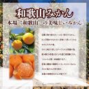 【訳あり】和歌山みかん約11kg+補償分約1kg&nbsp;サイズ混合&nbsp;11月より順次発送&nbsp;訳ありみかん&nbsp;【red2】