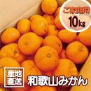 【訳あり】和歌山みかん 約9.5kg+補償分約500g サイズ混合 11月より順次発送 訳ありみかん 【red1】