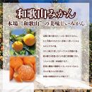 【訳あり】和歌山みかん 約9.5kg+補償分約500g サイズ混合 11月より順次発送 訳ありみかん 【red1】