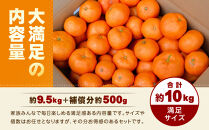 【訳あり】和歌山みかん&nbsp;約9.5kg+補償分約500g&nbsp;サイズ混合&nbsp;11月より順次発送&nbsp;訳ありみかん&nbsp;【red1】