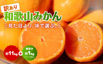 【訳あり】和歌山みかん約11kg+補償分約1kg&nbsp;サイズ混合&nbsp;11月より順次発送&nbsp;訳ありみかん&nbsp;【red2】