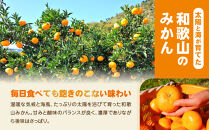 【訳あり】和歌山みかん約11kg+補償分約1kg&nbsp;サイズ混合&nbsp;11月より順次発送&nbsp;訳ありみかん&nbsp;【red2】