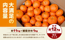 【訳あり】和歌山みかん約11kg+補償分約1kg&nbsp;サイズ混合&nbsp;11月より順次発送&nbsp;訳ありみかん&nbsp;【red2】