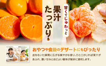 【訳あり】和歌山みかん約11kg+補償分約1kg&nbsp;サイズ混合&nbsp;11月より順次発送&nbsp;訳ありみかん&nbsp;【red2】